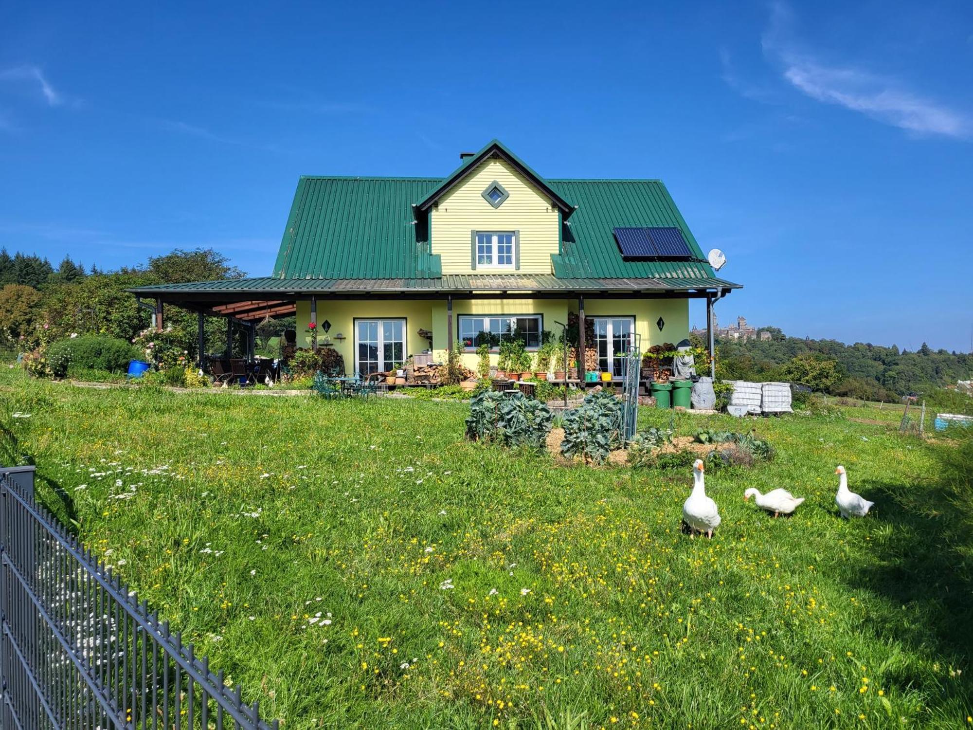 Kleine Einzigartige Ferienwohnung Auf Dem Bauernhof, Direkt In Der Natur Mit Blick Auf Schloss Braunfels Exterior foto