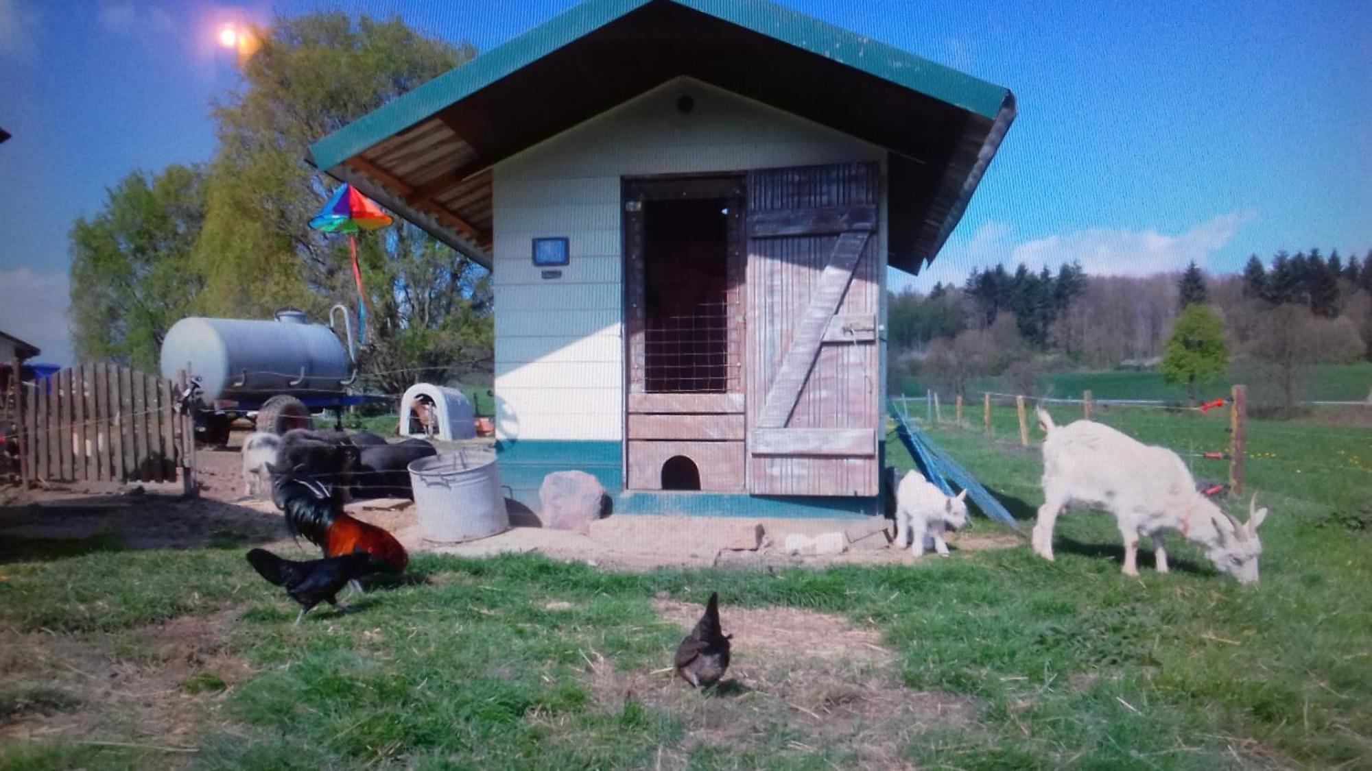 Kleine Einzigartige Ferienwohnung Auf Dem Bauernhof, Direkt In Der Natur Mit Blick Auf Schloss Braunfels Exterior foto