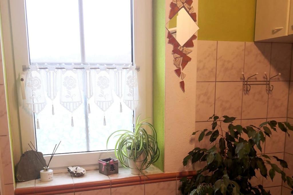 Kleine Einzigartige Ferienwohnung Auf Dem Bauernhof, Direkt In Der Natur Mit Blick Auf Schloss Braunfels Exterior foto