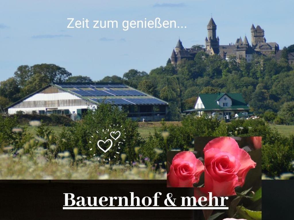 Kleine Einzigartige Ferienwohnung Auf Dem Bauernhof, Direkt In Der Natur Mit Blick Auf Schloss Braunfels Exterior foto