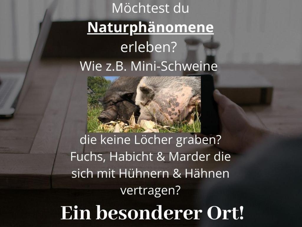 Kleine Einzigartige Ferienwohnung Auf Dem Bauernhof, Direkt In Der Natur Mit Blick Auf Schloss Braunfels Exterior foto