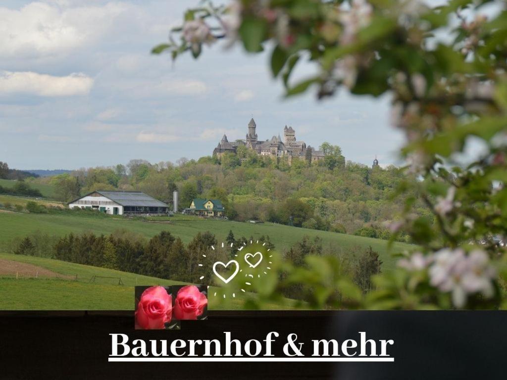 Kleine Einzigartige Ferienwohnung Auf Dem Bauernhof, Direkt In Der Natur Mit Blick Auf Schloss Braunfels Exterior foto