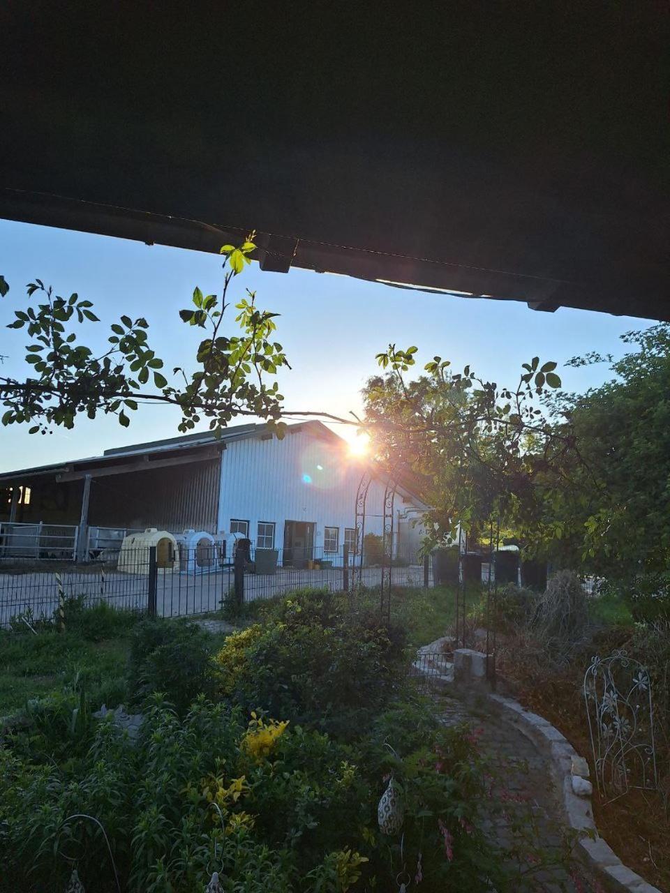 Kleine Einzigartige Ferienwohnung Auf Dem Bauernhof, Direkt In Der Natur Mit Blick Auf Schloss Braunfels Exterior foto